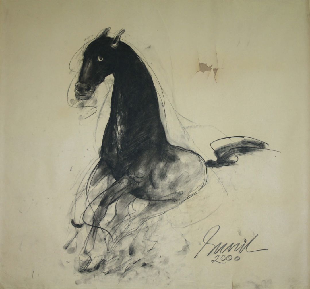 Horse
